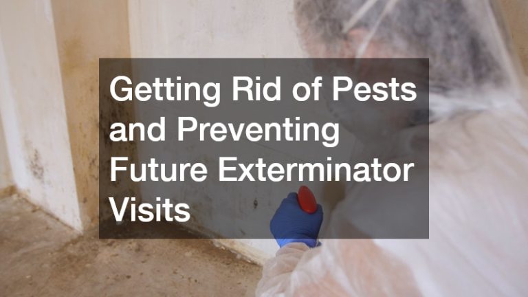 Getting Rid of Pests and Preventing Future Exterminator Visits